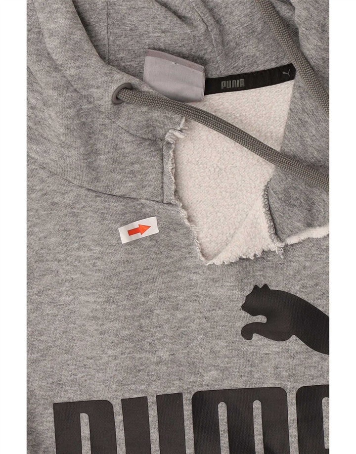 Pulover pentru bărbați Puma Graphic Hoodie, bumbac cu pete, gri mediu