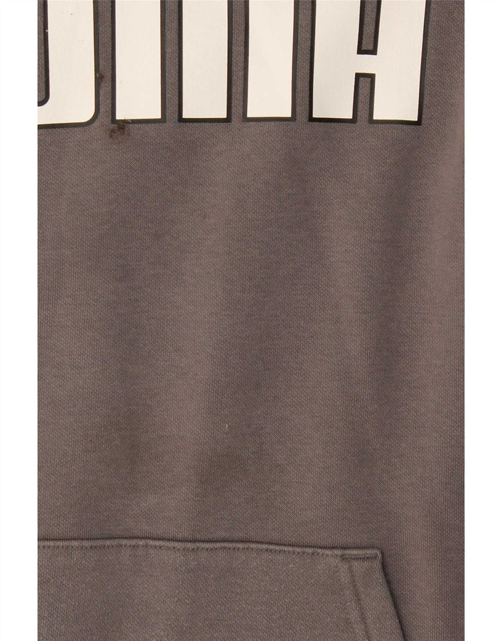 Pulover pentru bărbați Puma Graphic Hoodie, bumbac, gri mediu
