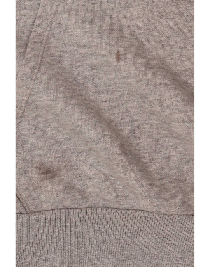 Pulover pentru bărbați Puma Graphic Hoodie Jumper mic, gri, bumbac