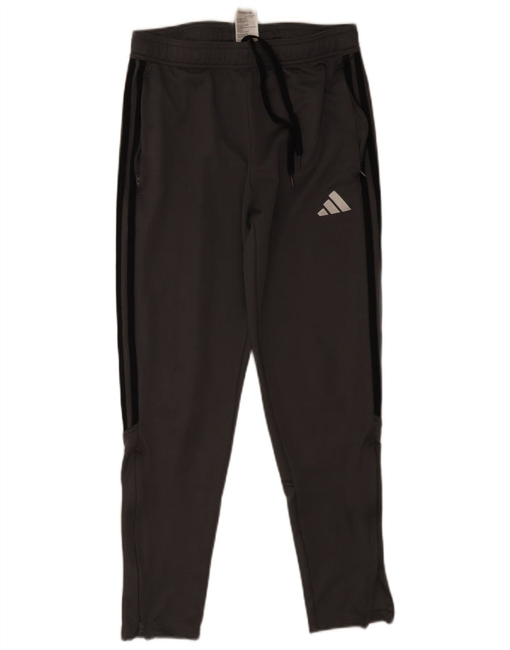 Pantaloni de trening pentru bărbați Adidas, gri mediu, poliester