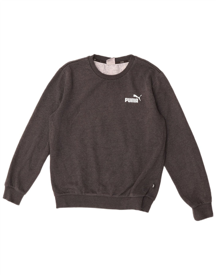 Hanorac pentru bărbați Puma Jumper mic, gri, bumbac