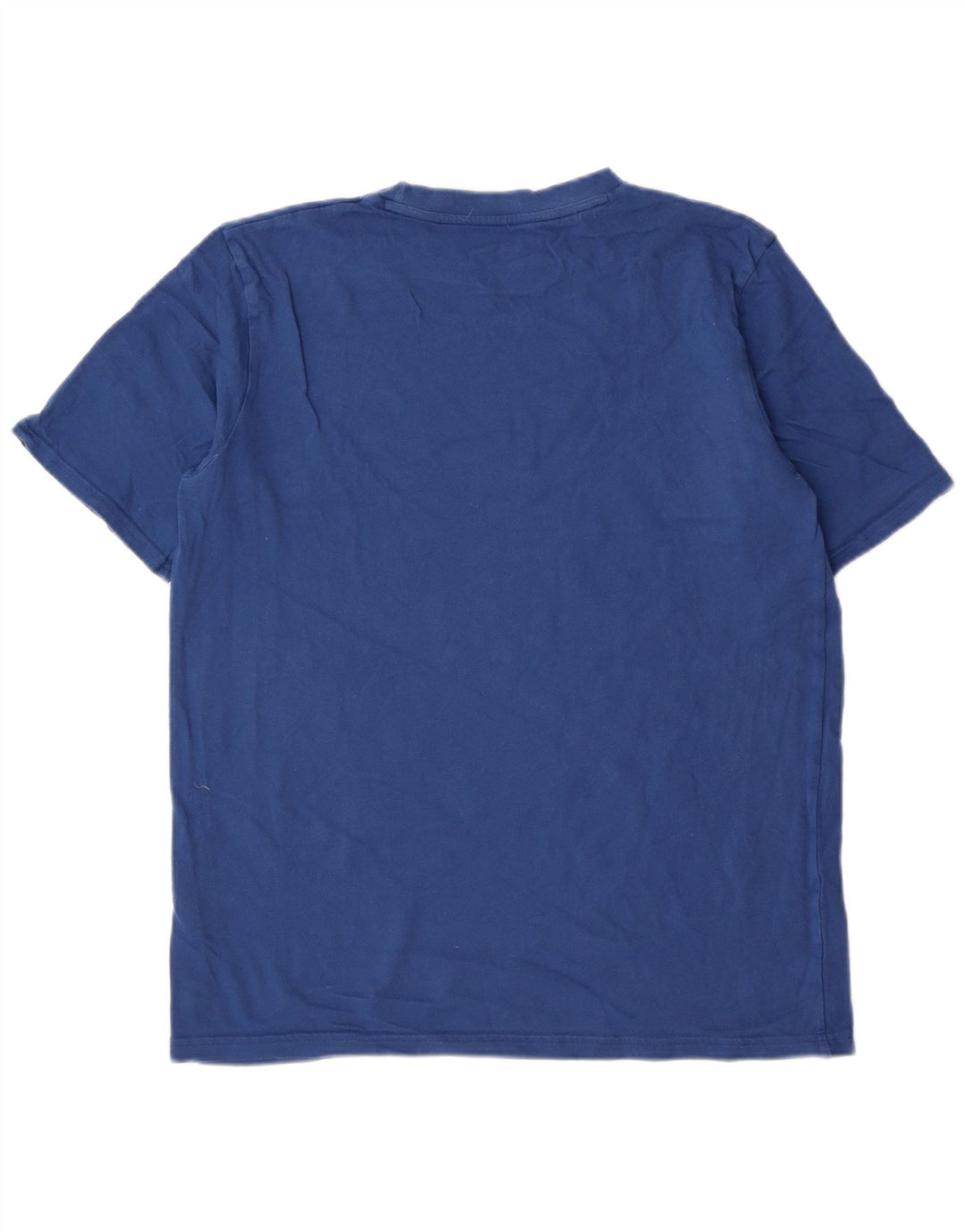 Tricou pentru bărbați Berghaus Top mare, albastru, bumbac