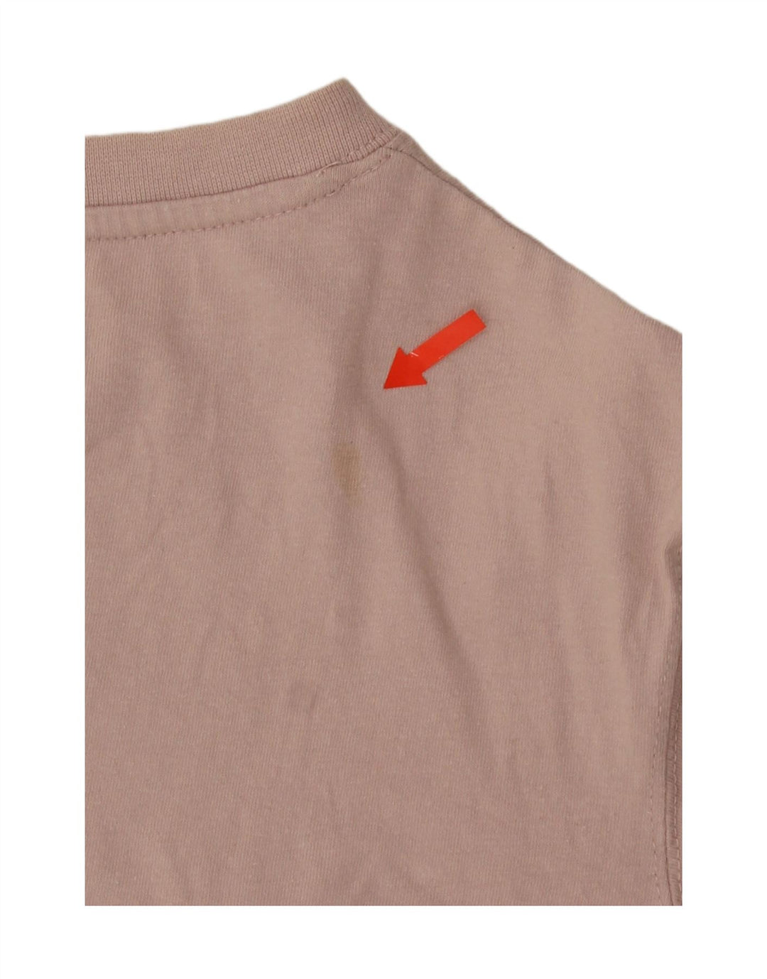 Tricou grafic pentru bărbați Dickies Top mic din bumbac roz