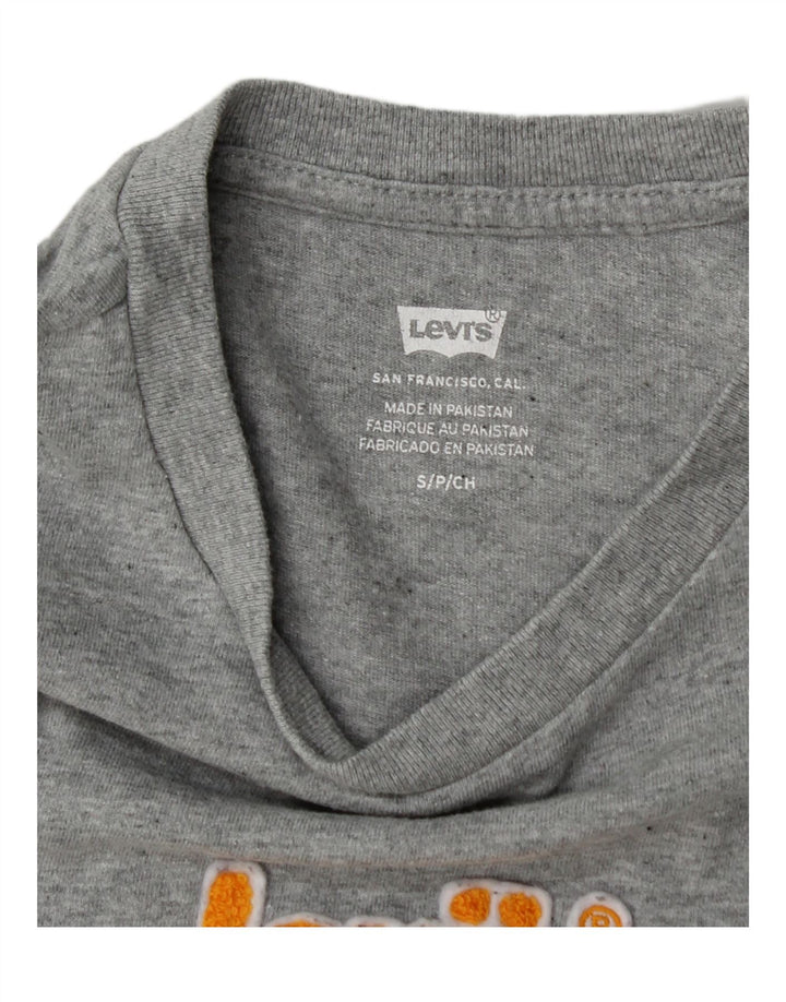 Tricou grafic supradimensionat pentru femei Levi's Top UK 10 Small Gri