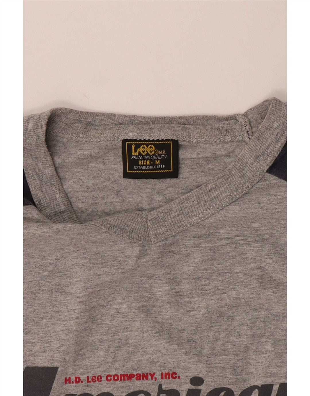 Tricou grafic pentru bărbați Lee Top Medium Gri Colorblock