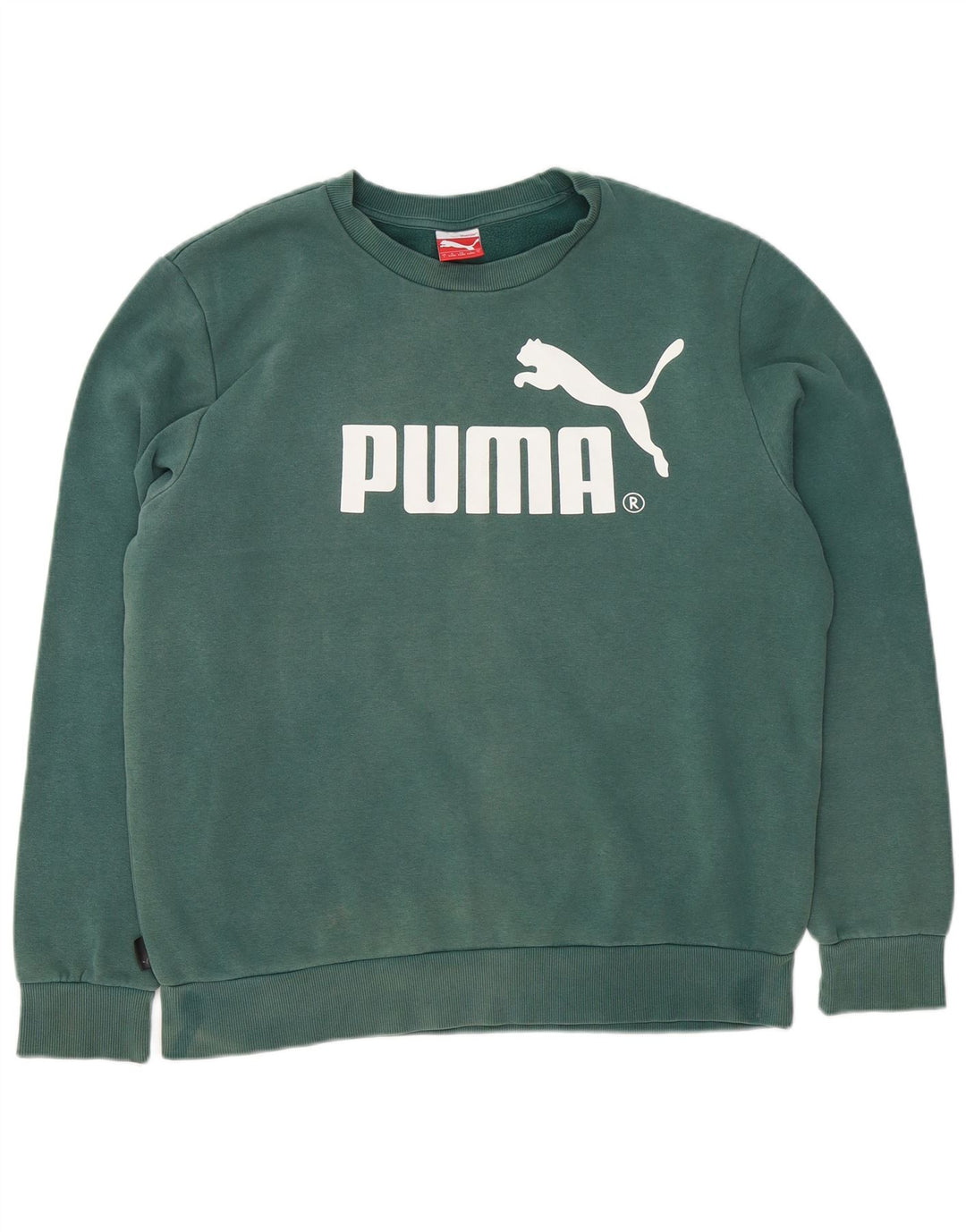 Hanorac grafic pentru bărbați Puma Pulover mare din bumbac verde