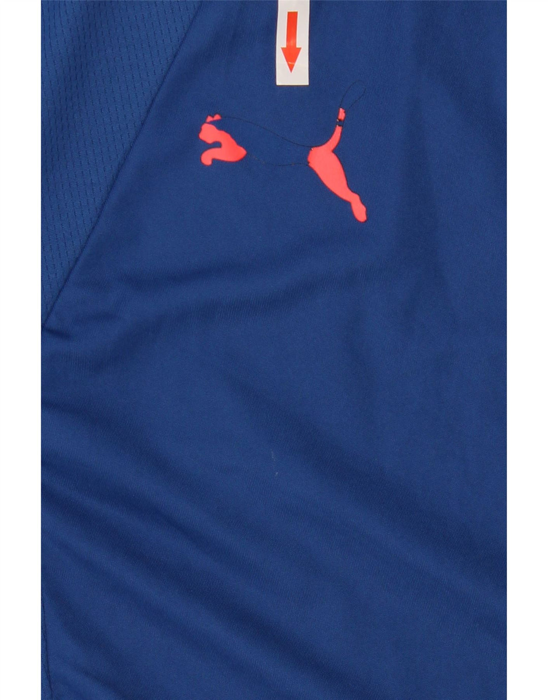 Tricou pentru bărbați PUMA Top mare, albastru, poliester color bloc
