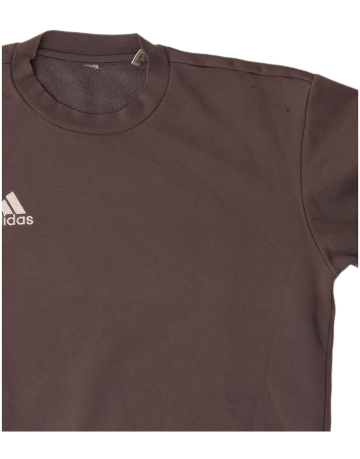 Hanorac pentru bărbați Adidas Jumper Medium Gri Bumbac
