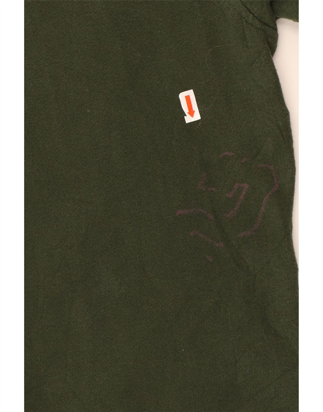 IZOD Mens Sweatshirt Jumper Large Green Cotton Vintage Izod and Second-Hand Izod from Messina Hembry 
