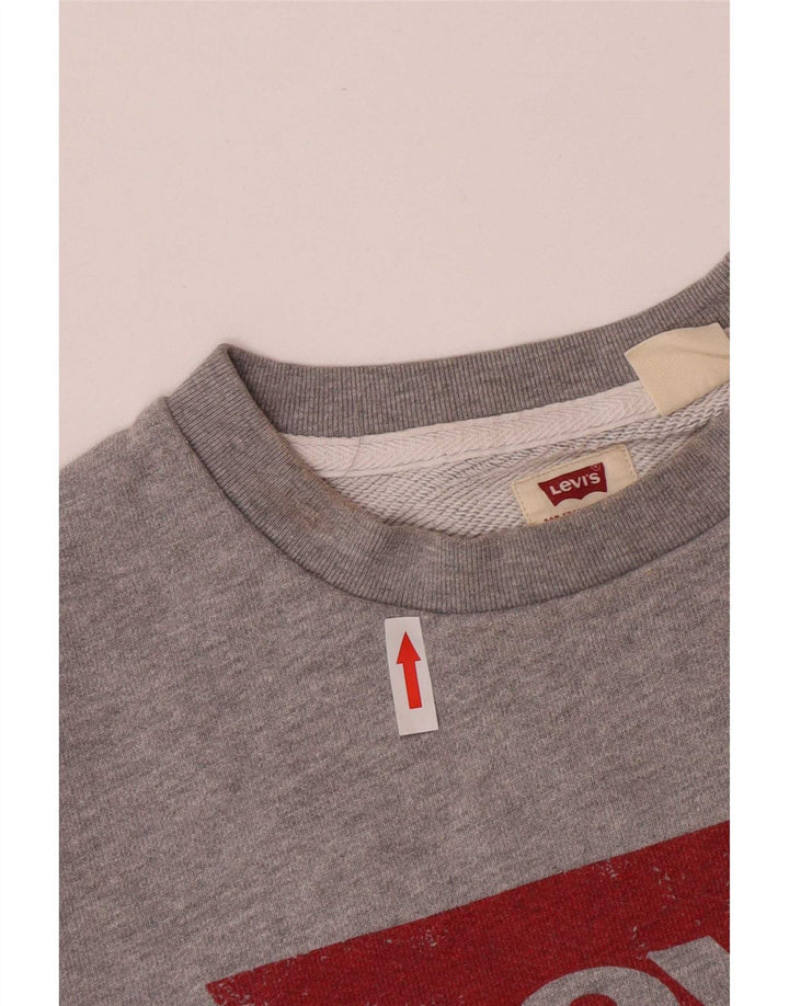 Levi's Pulover grafic pentru bărbați, bumbac mic, gri