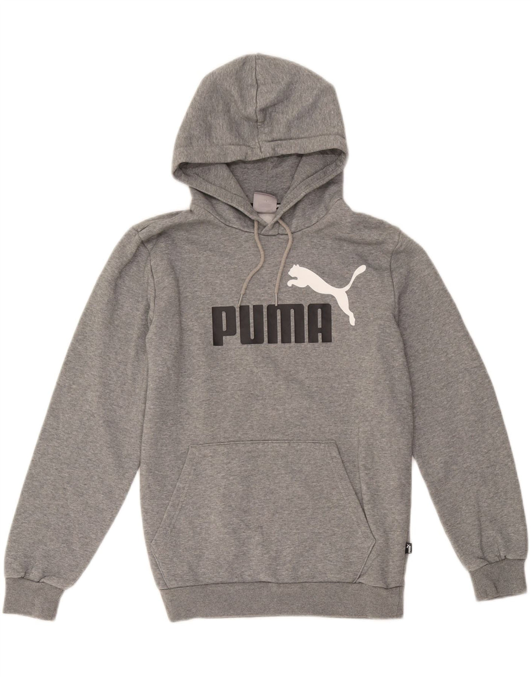 Pulover pentru bărbați Puma Graphic Hoodie Jumper mic, gri, bumbac