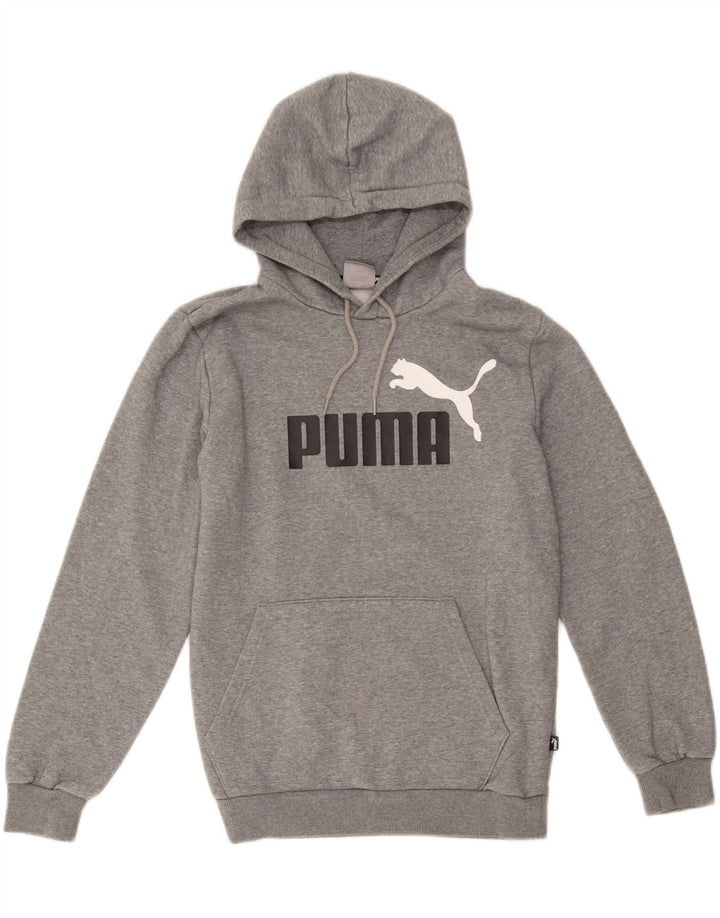 Pulover pentru bărbați Puma Graphic Hoodie Jumper mic, gri, bumbac