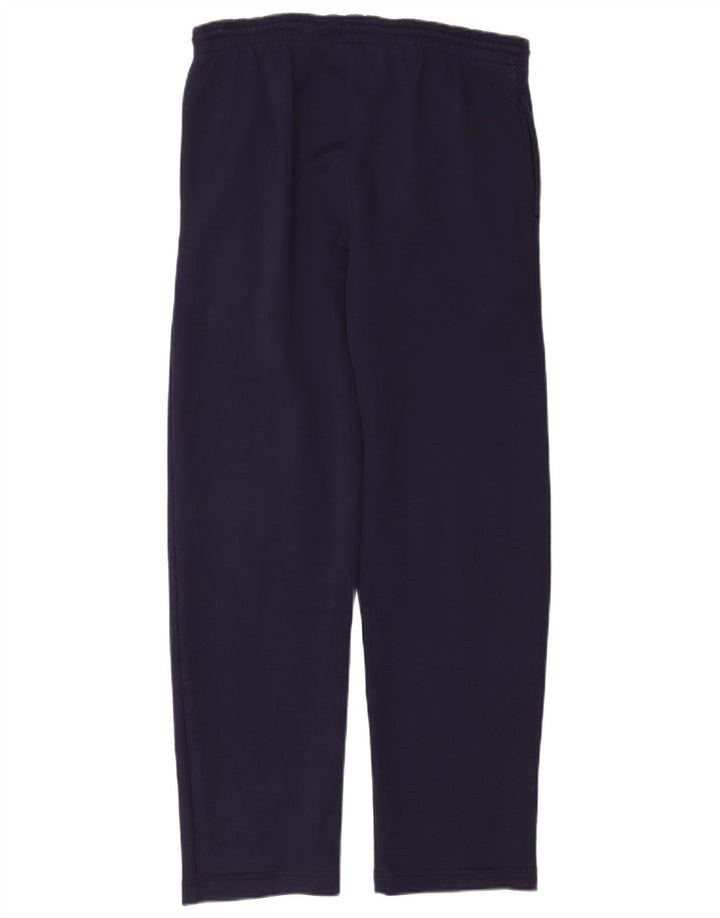 Pantaloni de trening grafic Reebok pentru bărbați, mari, albastru, poliester