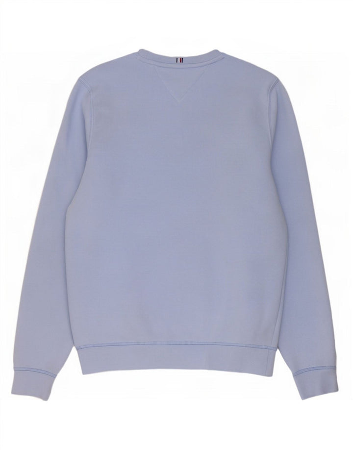 Hanorac grafic pentru bărbați Tommy Hilfiger Pulover mic, albastru, bumbac