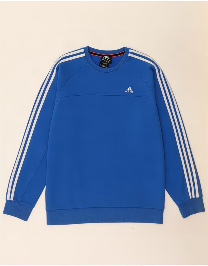 Hanorac pentru bărbați Adidas Jumper mare, albastru, bumbac