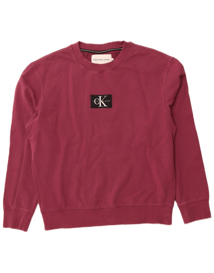 CALVIN KLEIN JEANS Hanorac grafic pentru bărbați Pulover mediu violet