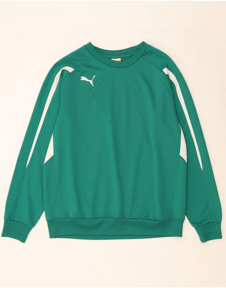 Pulover pentru bărbați PUMA Pulover mare verde, poliester color bloc