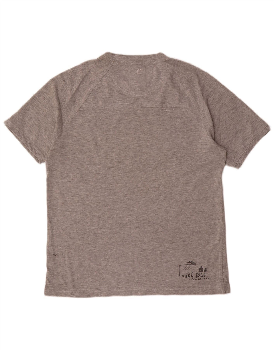 Tricou grafic pentru bărbați Fat Face Top mic gri