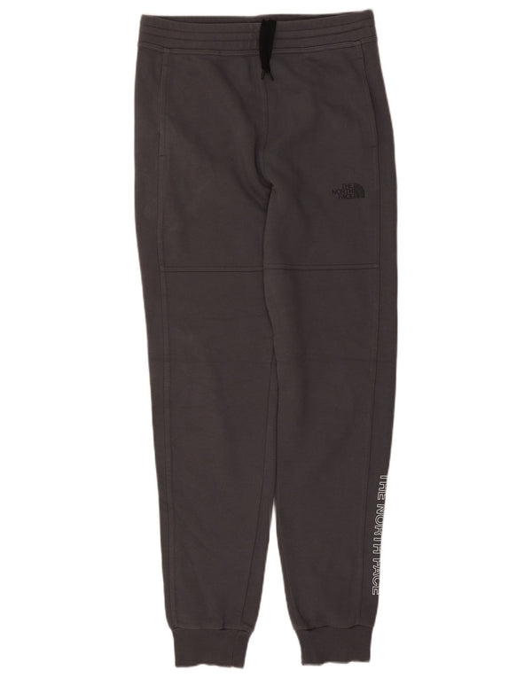 The North Face Pantaloni de trening grafic pentru bărbați Joggeri, bumbac, gri mic