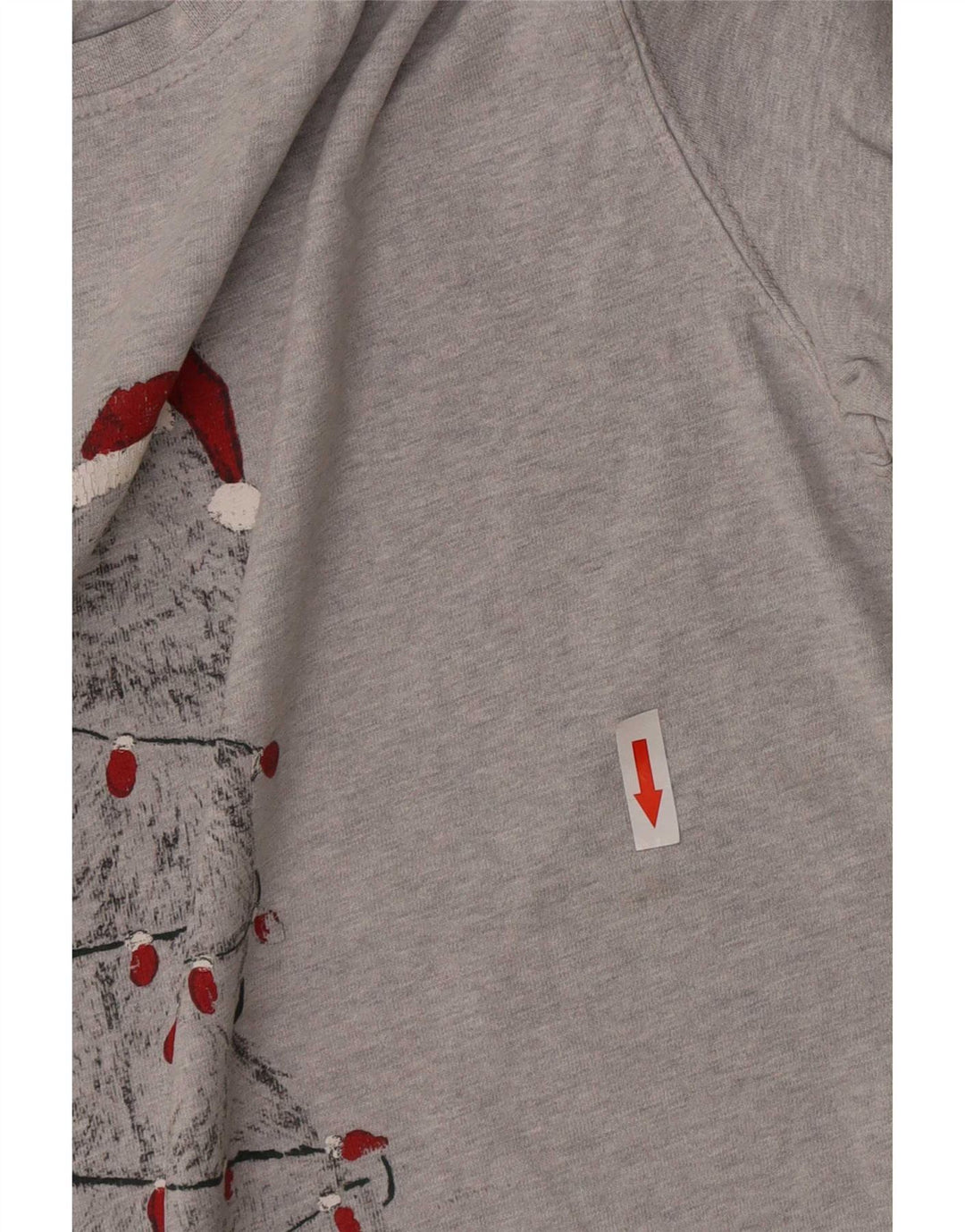 Tricou grafic pentru bărbați Fat Face Top mic, gri, bumbac cu pete