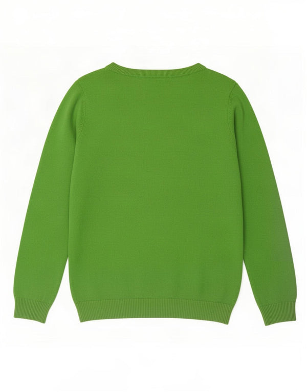 Pulover pentru femeie Zara, cu gât de barca, UK 14, bumbac verde mare