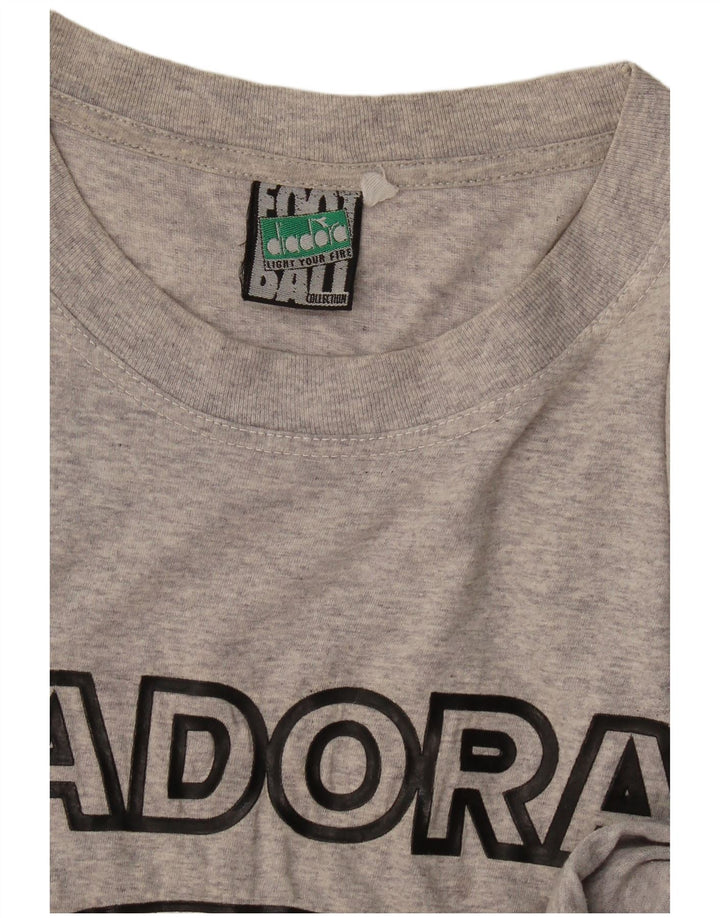 Tricou grafic Diadora pentru bărbați Top mare gri