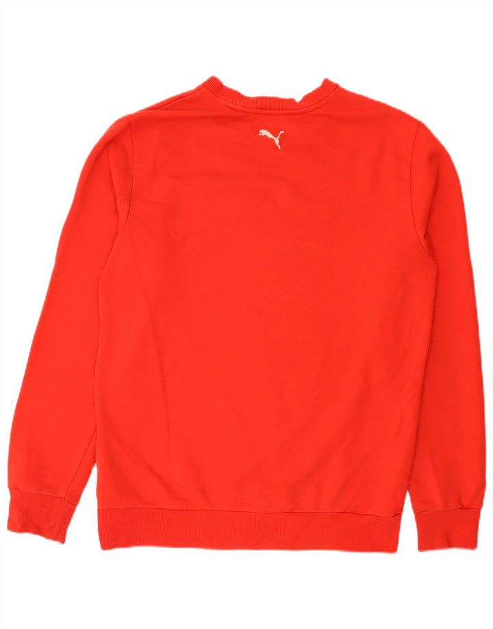 Hanorac grafic pentru bărbați Puma Jumper Bumbac Roșu Mediu