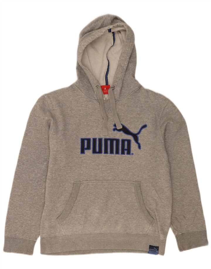 Pulover pentru bărbați Puma Graphic Hoodie, mic, gri, pătat