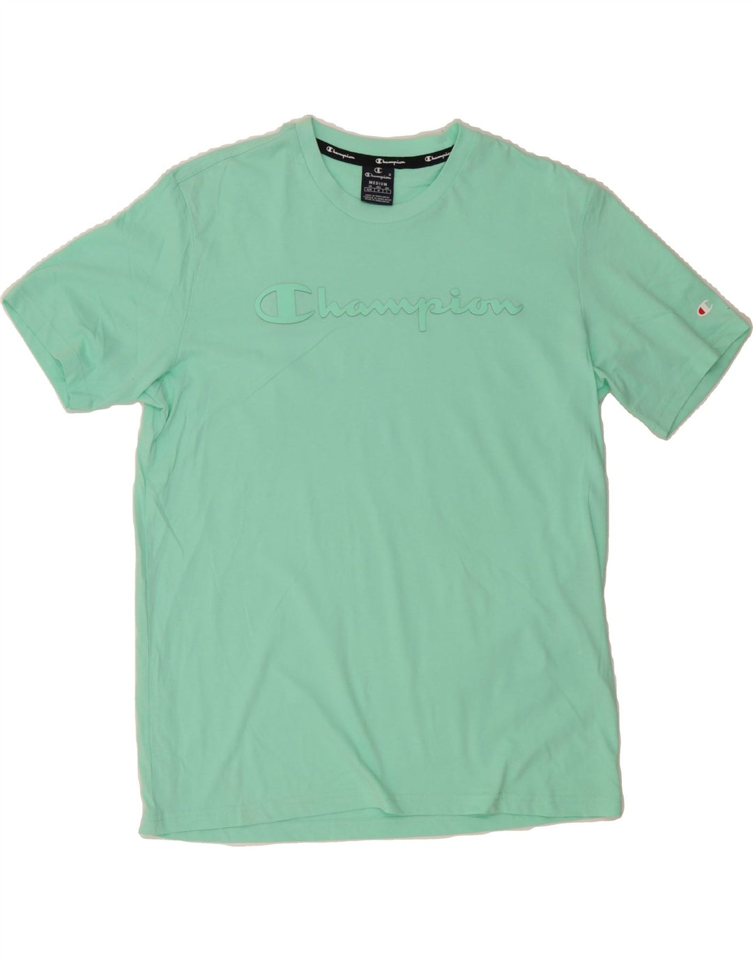 CHAMPION Mens Graphic T-Shirt Top Medium Turquoise Cotton Vintage Champion and Second-Hand Champion from Messina Hembry 