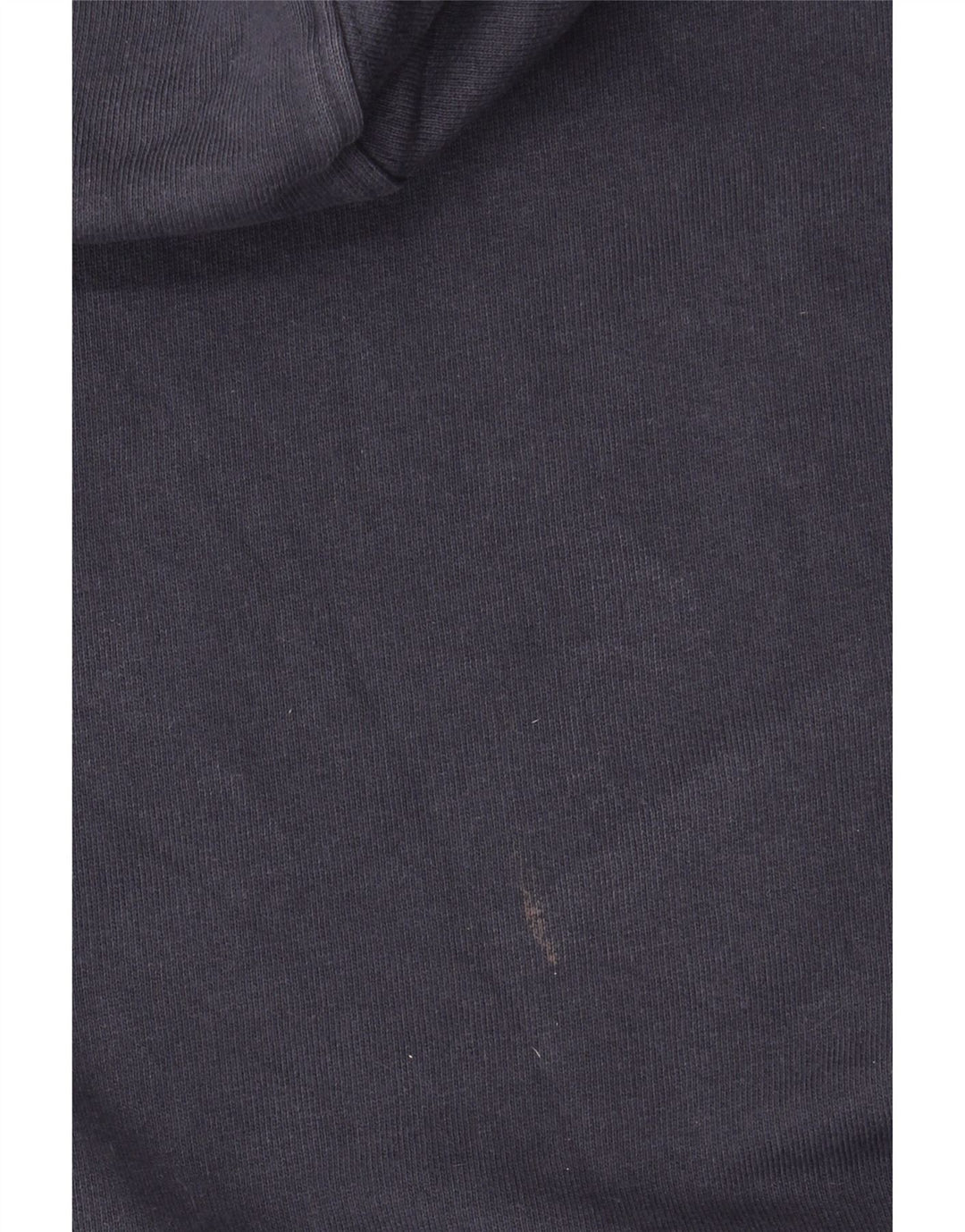 Pulover Dickies pentru bărbați cu glugă grafică, bumbac, albastru, mediu