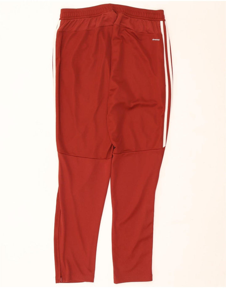 Pantaloni de trening Adidas Climacool pentru bărbați, mari, din poliester burgundă