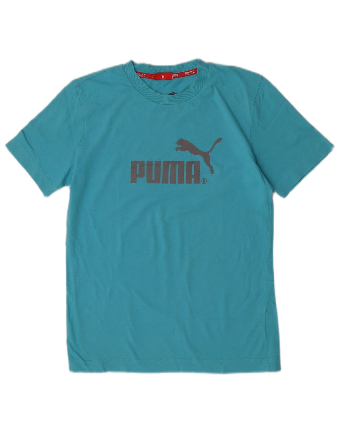 Tricou grafic Puma pentru bărbați Top XS Albastru