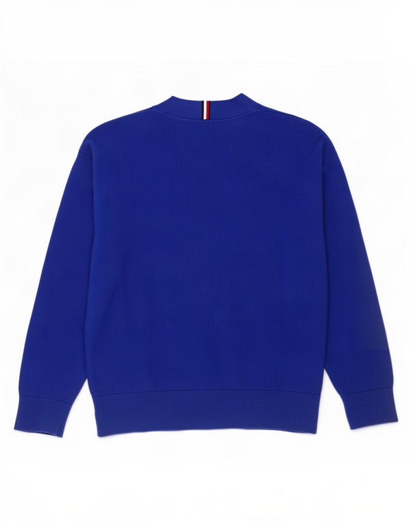 Hanorac cu grafic Tommy Hilfiger pentru băieți, 11-12 ani, bumbac albastru
