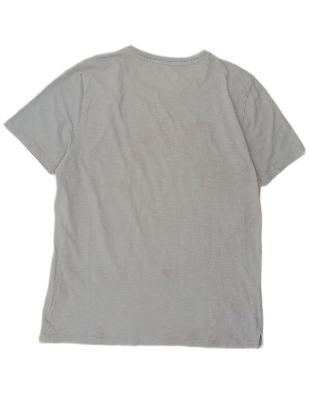 Tricou grafic pentru bărbați Fat Face Top mare, albastru, bumbac