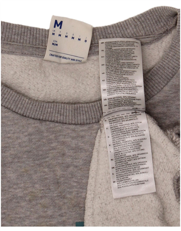 Hanorac grafic pentru bărbați Reebok Jumper, bumbac, gri mediu