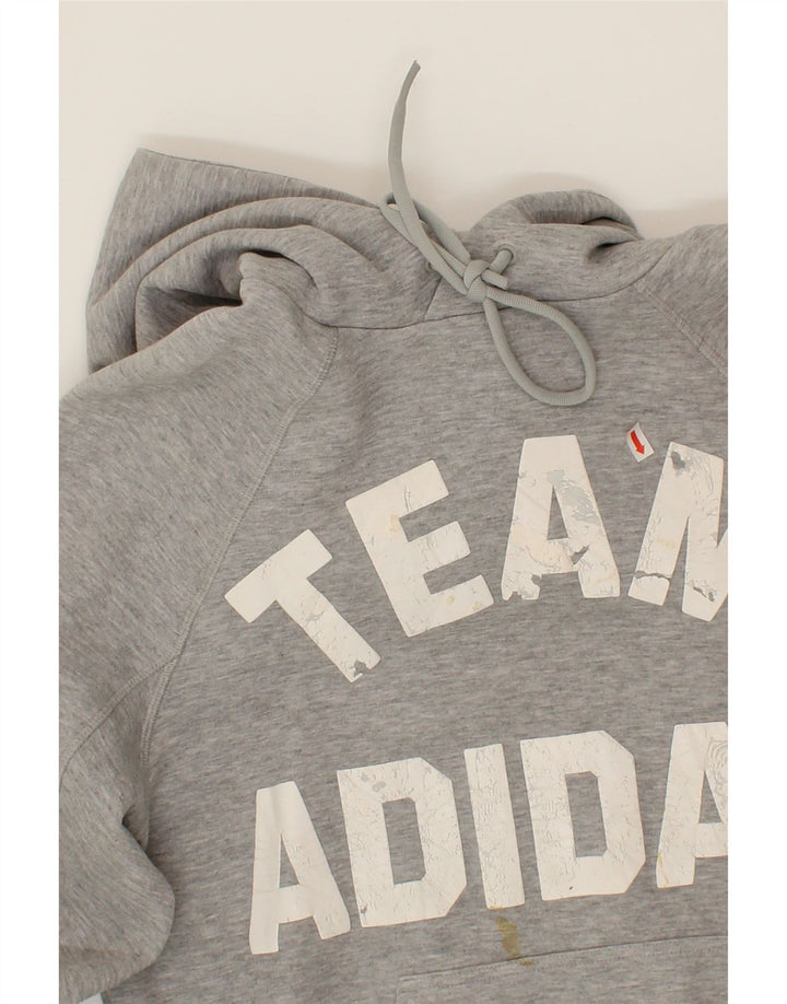 ADIDAS Mens Graphic Hoodie Jumper Medium Grey Vintage Adidas and Second-Hand Adidas from Messina Hembry 