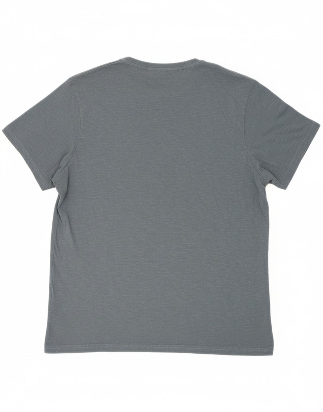 AVIREX Mens Graphic T-Shirt Top 2XL Grey Vintage Avirex and Second-Hand Avirex from Messina Hembry 