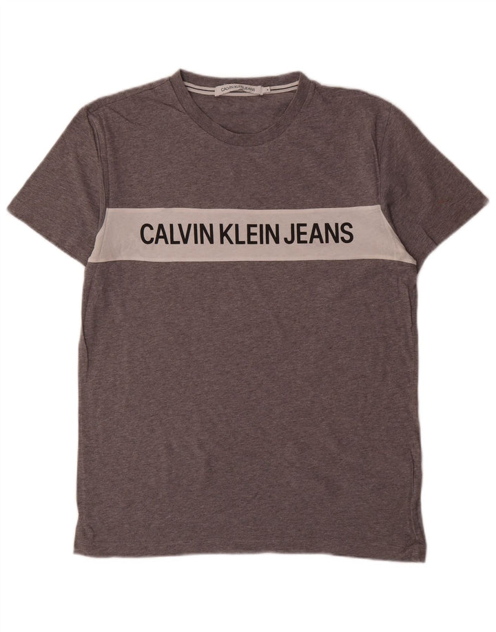 Tricou grafic pentru bărbați Calvin Klein Jeans Top Medium Gri Colorblock