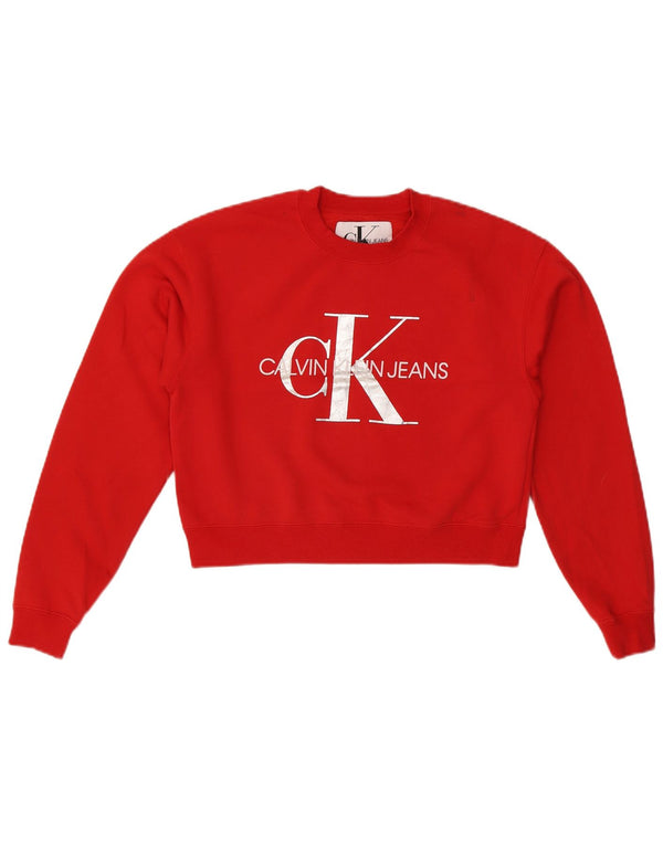CALVIN KLEIN JEANS Hanorac oversize pentru femei Jumper UK 6 XS Roșu