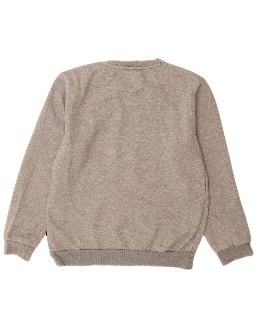 Hanorac grafic pentru bărbați Puma Jumper mic, gri, bumbac cu pete