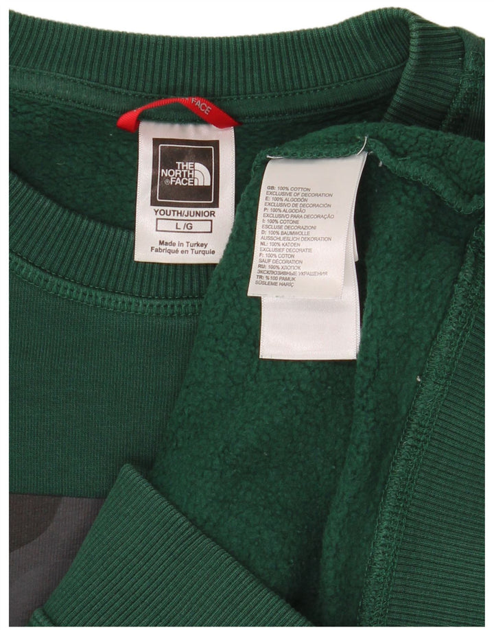 THE NORTH FACE Pulover grafic pentru băieți 11-12 ani mare verde