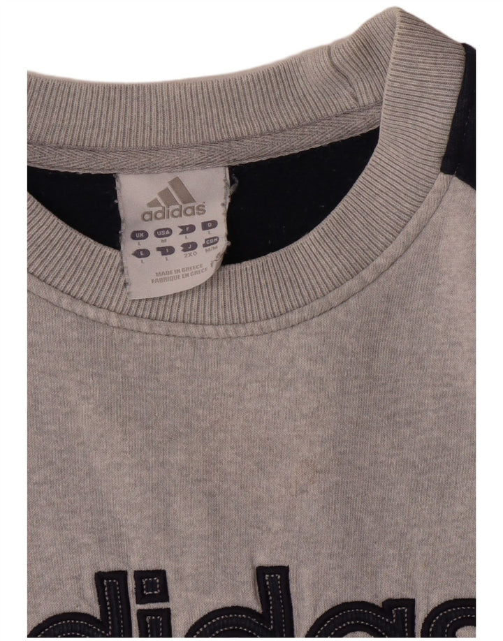 Hanorac cu grafic pentru bărbați Adidas Jumper mare, gri, bloc de culoare