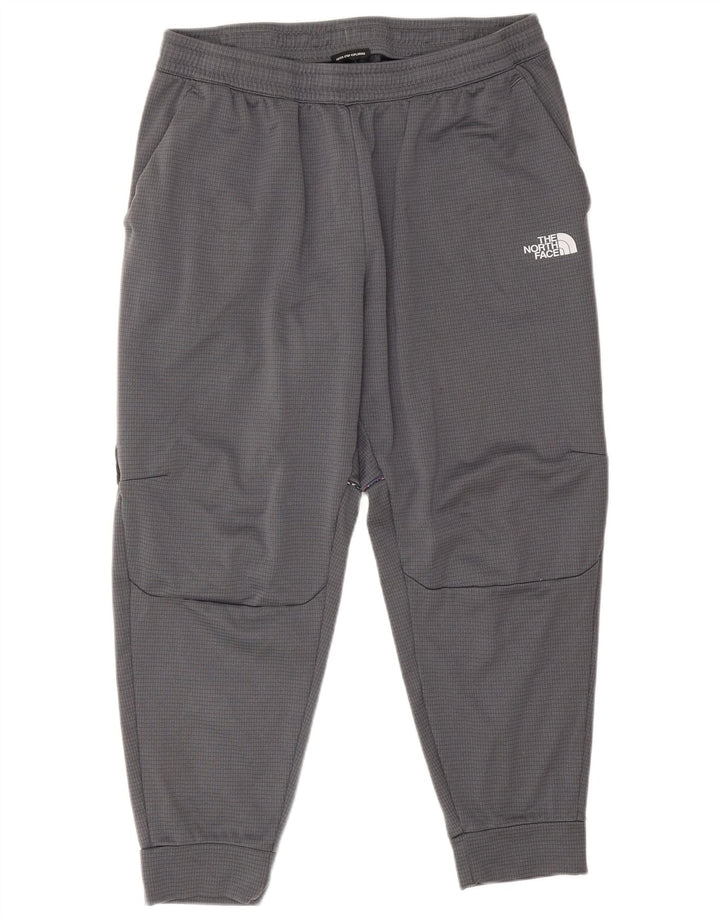 The North Face Mens Trening Pantaloni Joggeri XL Gri Poliester