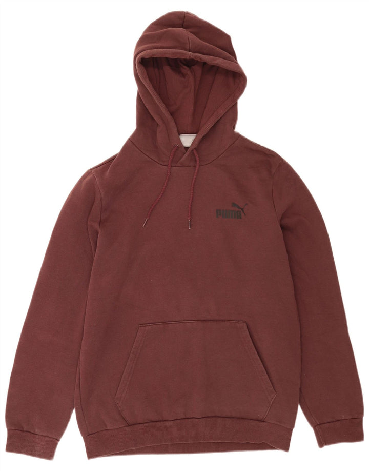 Pulover pentru bărbați Puma Graphic Hoodie Jumper mic, maro, bumbac