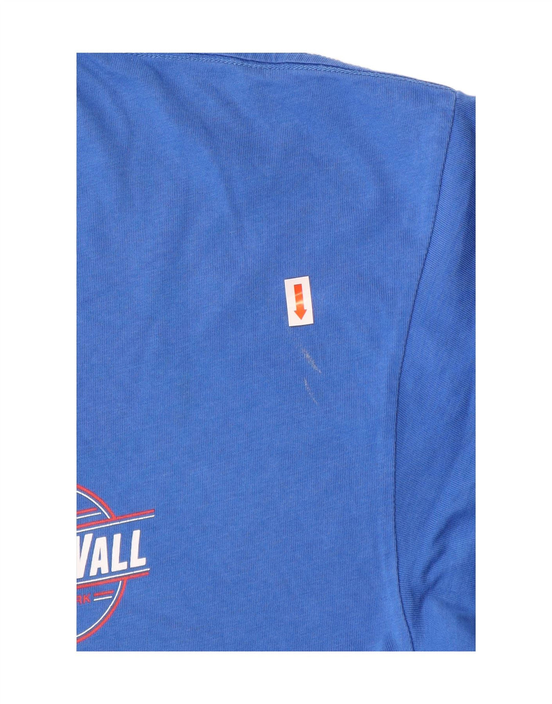 Tricou grafic clasic pentru bărbați VANS Top mare, albastru, bumbac