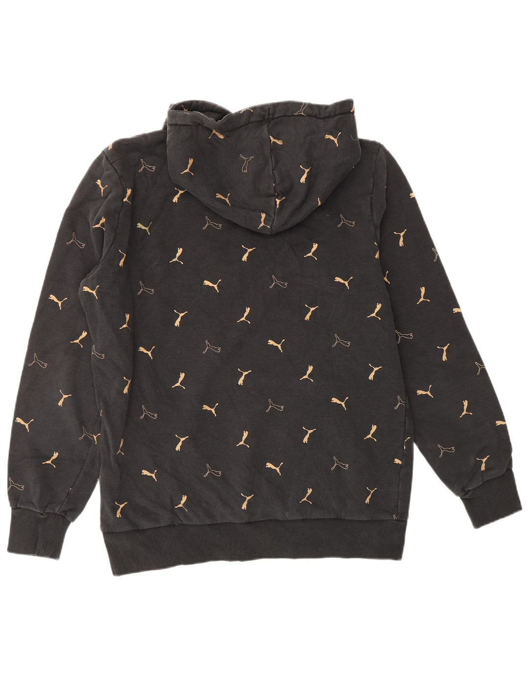 Pulover PUMA pentru bărbați cu glugă grafică, bumbac mediu negru