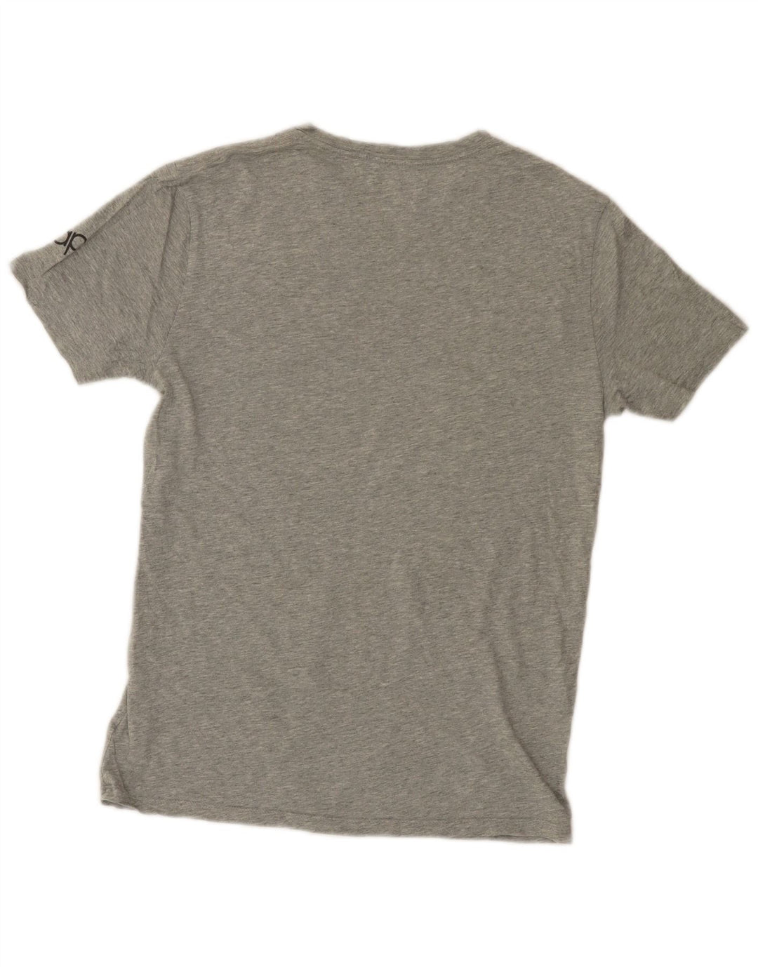 Tricou grafic Gap Roma pentru bărbați Top mic, gri, bumbac cu pete
