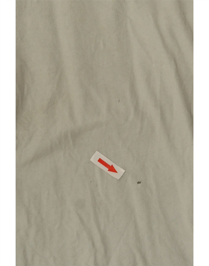 Tricou grafic pentru bărbați Fat Face Top mare, albastru, bumbac cu dungi