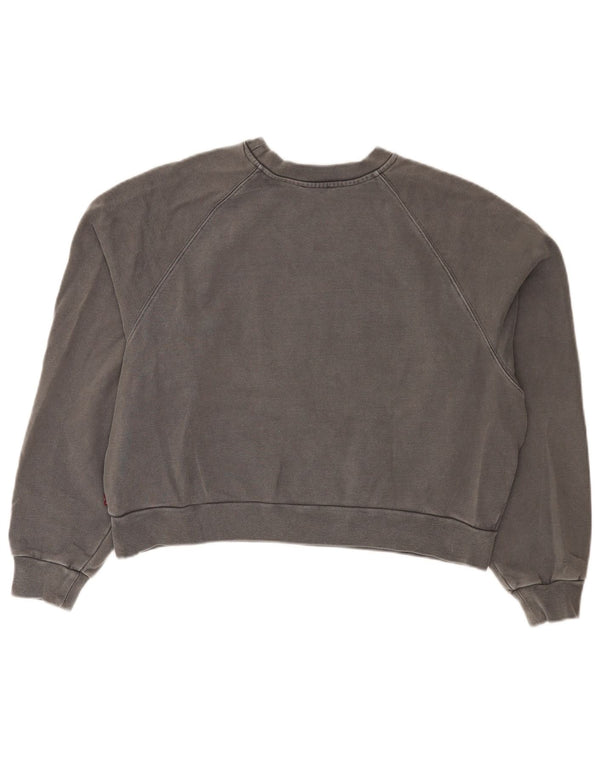 Pulover pentru femei Levi's Crop Graphic Oversized Pulover UK 14 Medium Gri