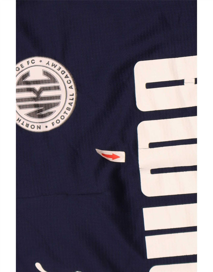 Trening pentru bărbați Puma Graphic Pullover Top mic, bleumarin, color block